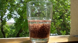 זרעי פשתן מושרים במים- אחת הטכניקות היעילות לטיפול סימפטומטי בעצירות