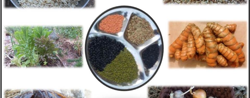 טיפול תזונתי- התאמת התזונה ככלי טיפולי לתמיכה ולקידום מטרות הטיפול