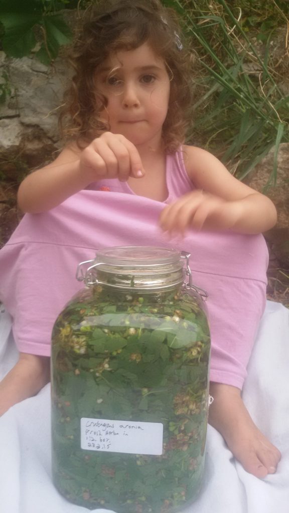 עדן עם השריה של פרחי עוזרר
