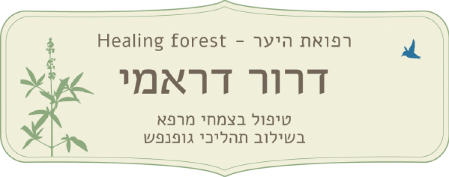 logo - לוגו דרור דראמי - רפואת היער Healing Forest