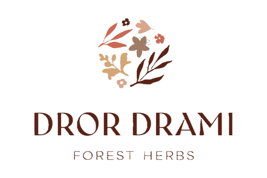 לוגו ללא רקע